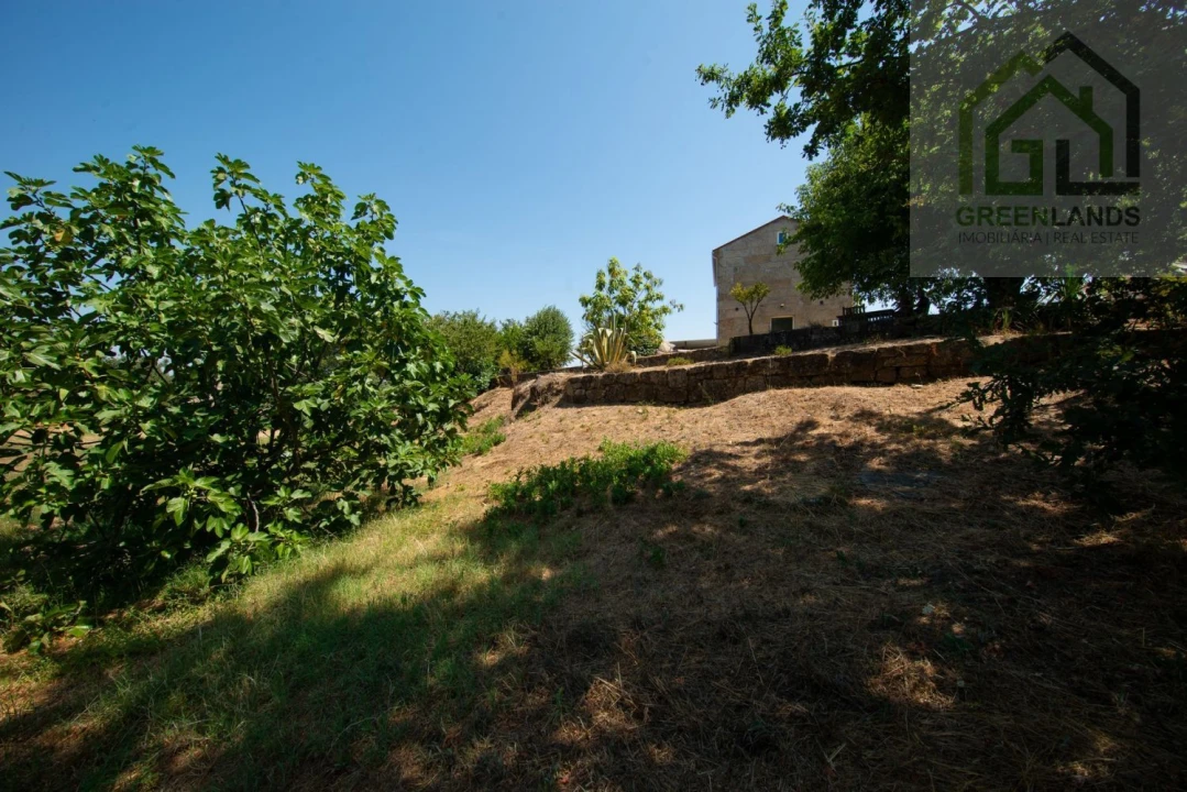 Quinta T2 para Venda em Lagos da Beira e Lajeosa Foto 63