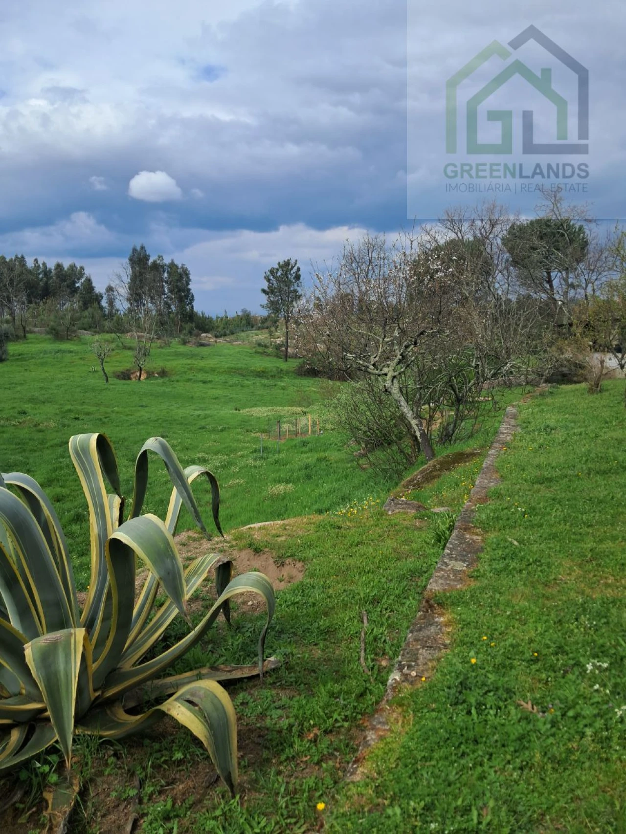 Quinta T2 para Venda em Lagos da Beira e Lajeosa Foto 53