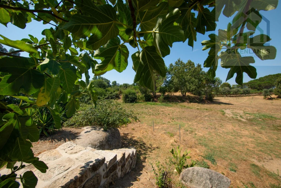 Quinta T2 para Venda em Lagos da Beira e Lajeosa Foto 56