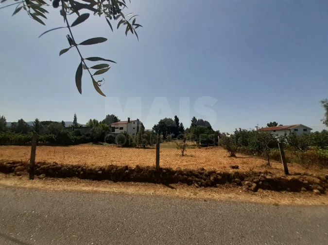 Terreno para Venda em Côja e Barril de Alva Foto 7