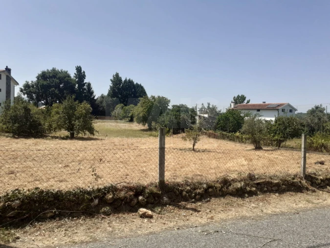 Terreno para Venda em Côja e Barril de Alva Foto 1