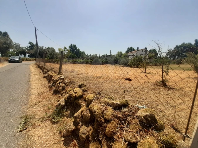 Terreno para Venda em Côja e Barril de Alva Foto 5