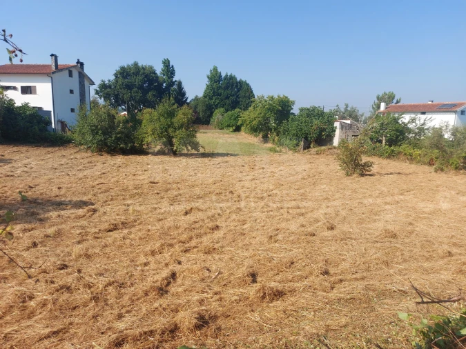 Terreno para Venda em Côja e Barril de Alva Foto 6