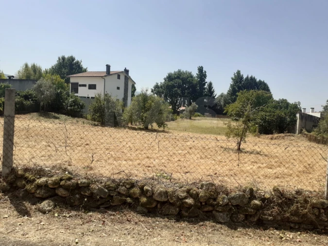Terreno para Venda em Côja e Barril de Alva Foto 3