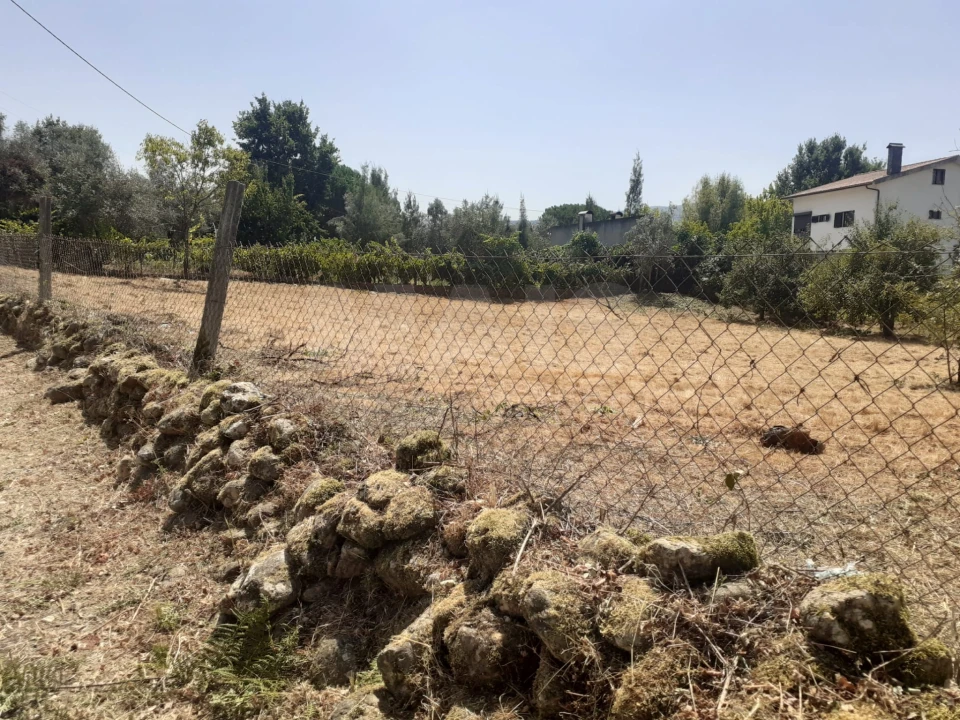 Terreno para Venda em Côja e Barril de Alva Foto 4