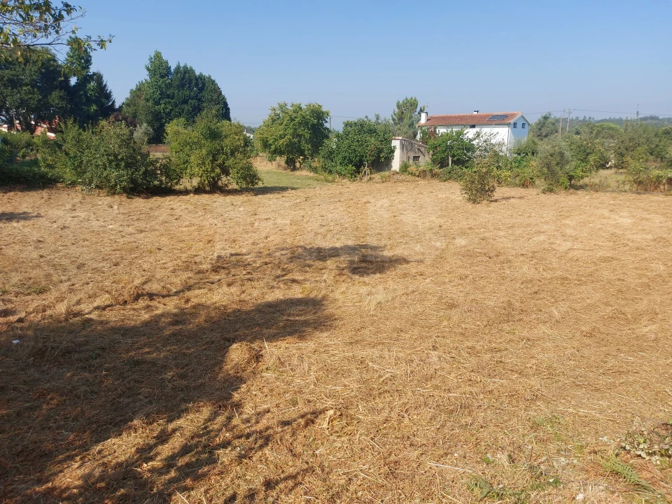 Terreno para Venda em Côja e Barril de Alva Foto 2