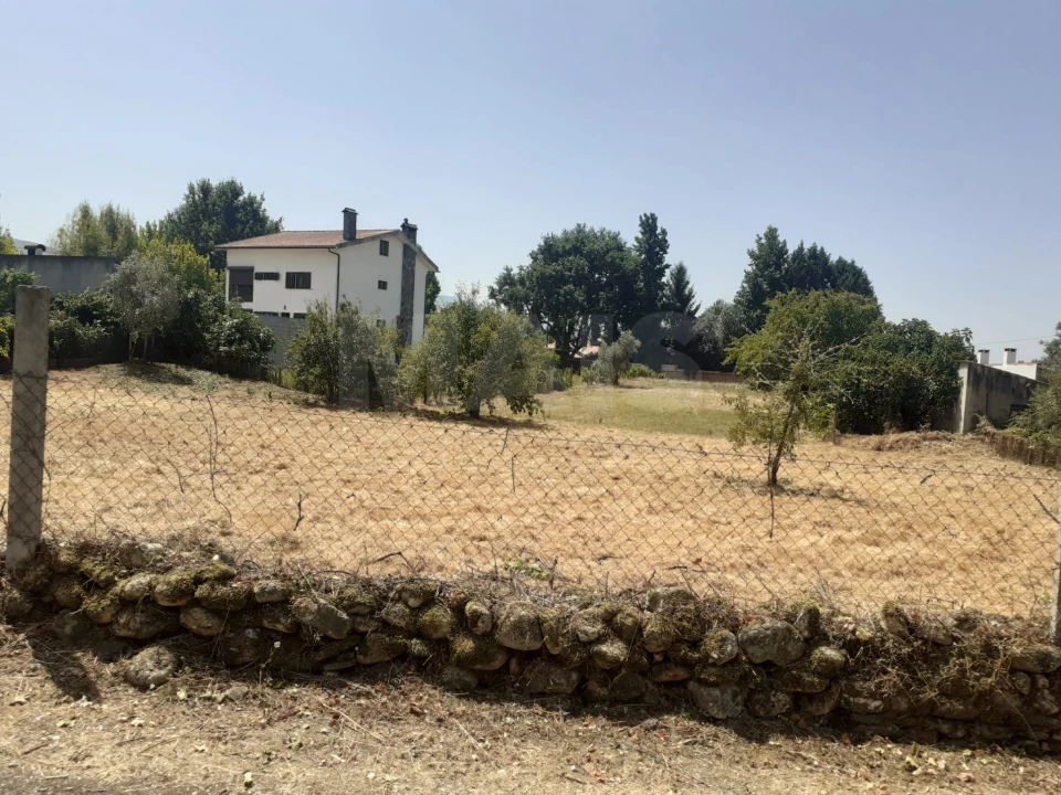 Terreno para Venda em Côja e Barril de Alva Foto 3