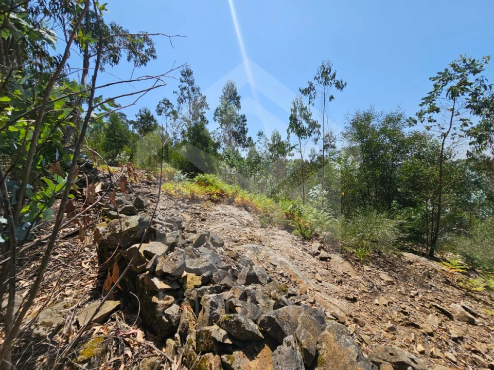 Terreno Agricola ou Rústico para Venda em Fornelo e Vairão Foto 7