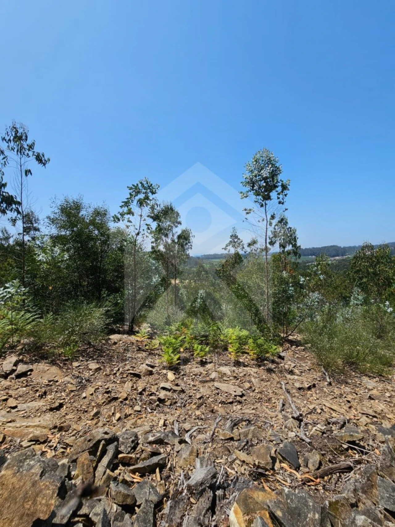 Terreno Agricola ou Rústico para Venda em Fornelo e Vairão Foto 16