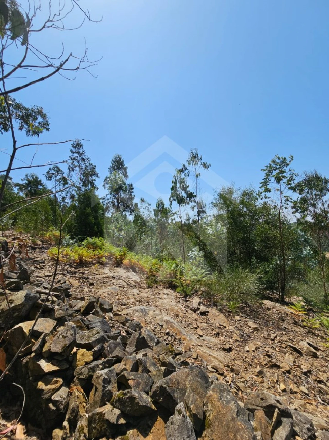 Terreno Agricola ou Rústico para Venda em Fornelo e Vairão Foto 21