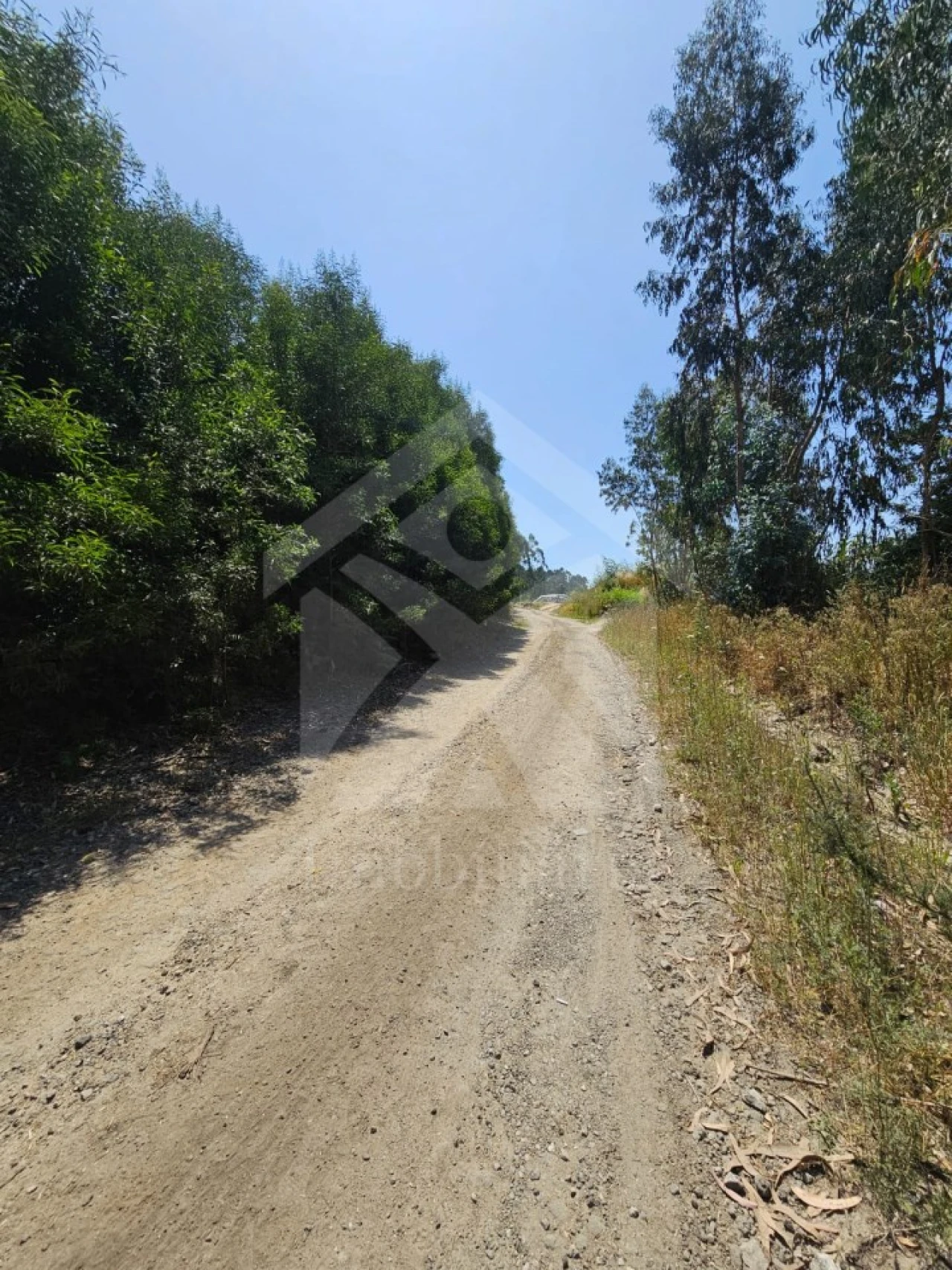 Terreno Agricola ou Rústico para Venda em Fornelo e Vairão Foto 29