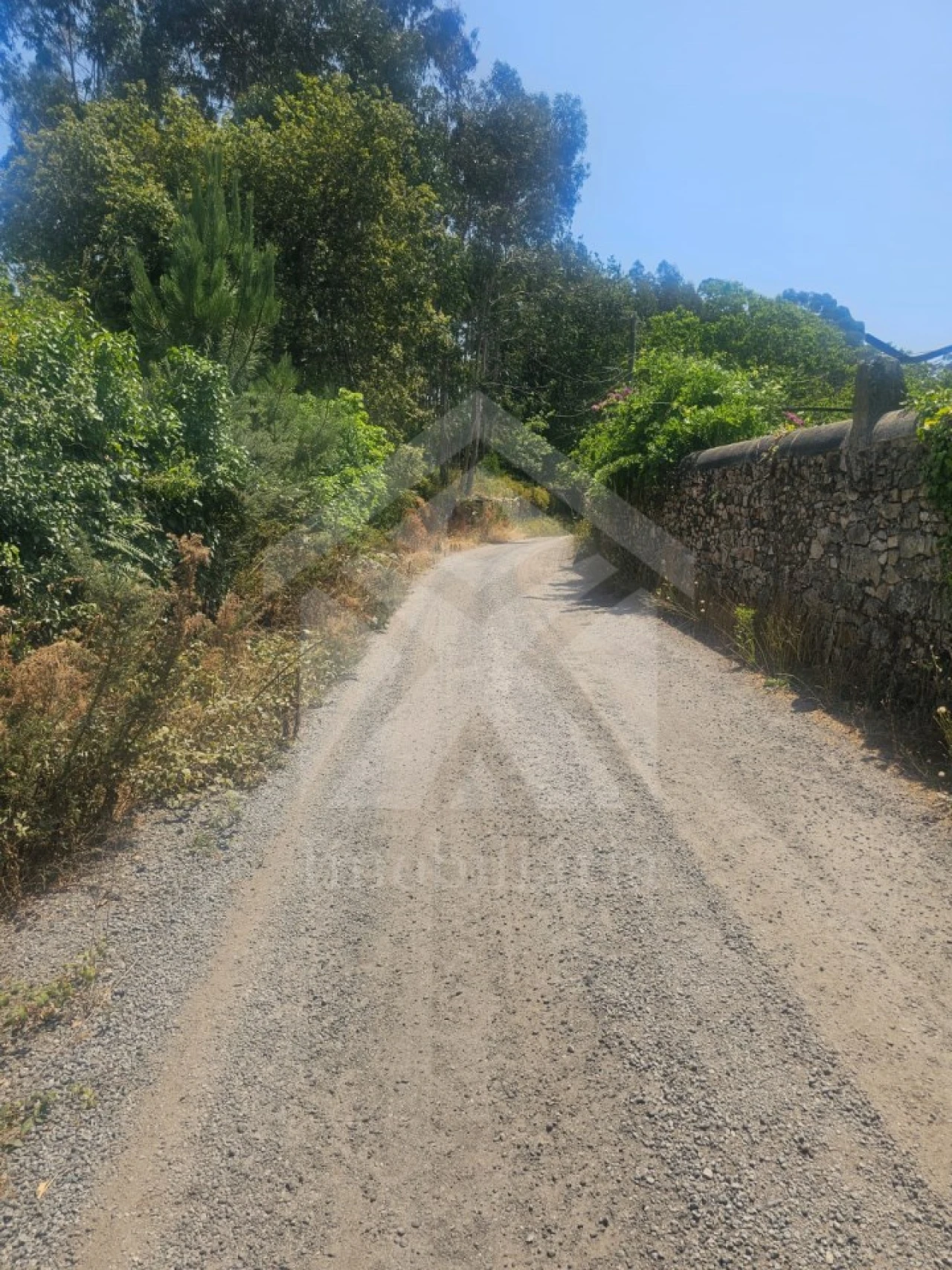 Terreno Agricola ou Rústico para Venda em Fornelo e Vairão Foto 32