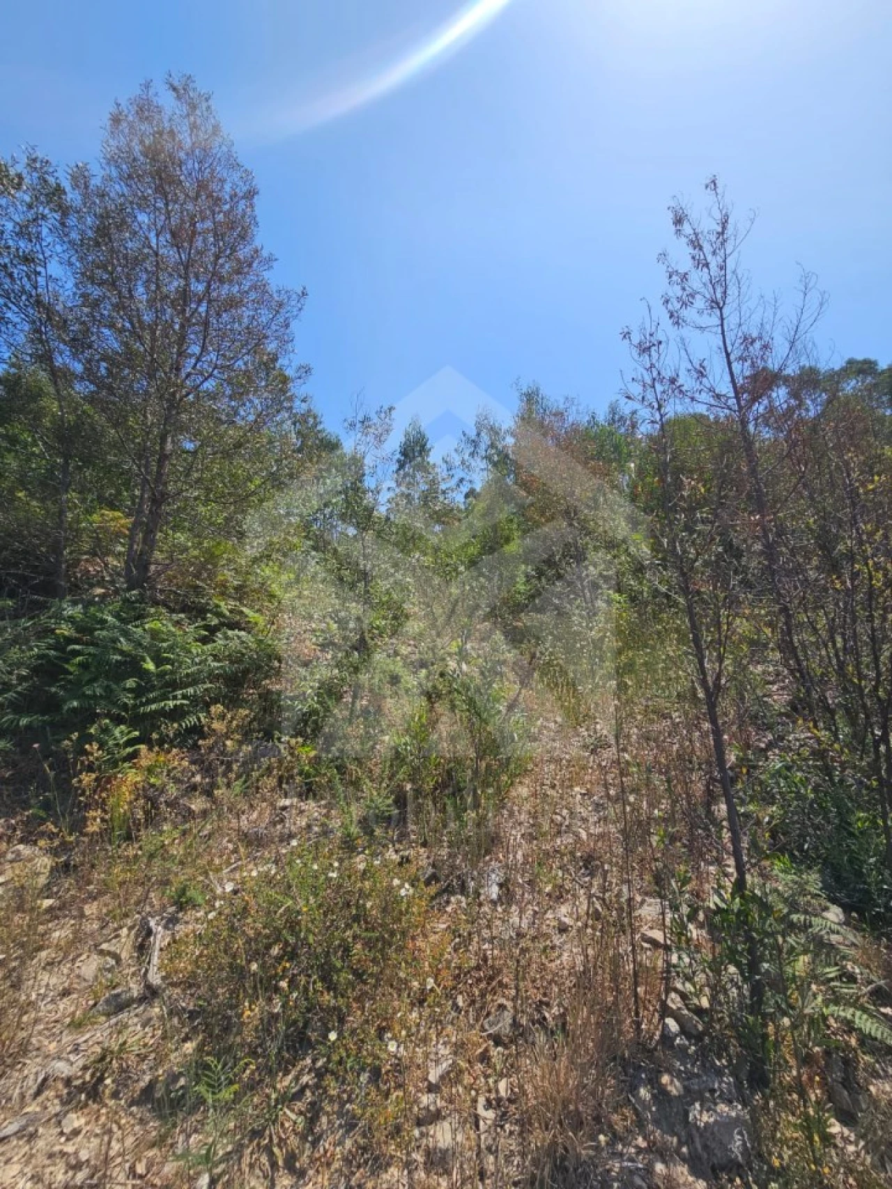 Terreno Agricola ou Rústico para Venda em Fornelo e Vairão Foto 33