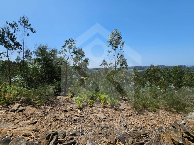 Terreno Agricola ou Rústico para Venda em Fornelo e Vairão Foto 6