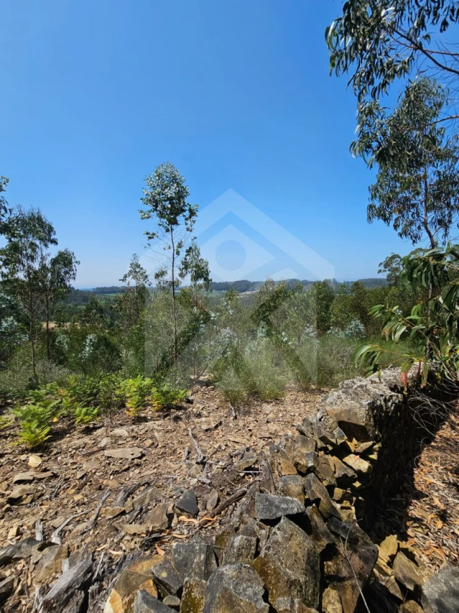 Terreno Agricola ou Rústico para Venda em Fornelo e Vairão Foto 17