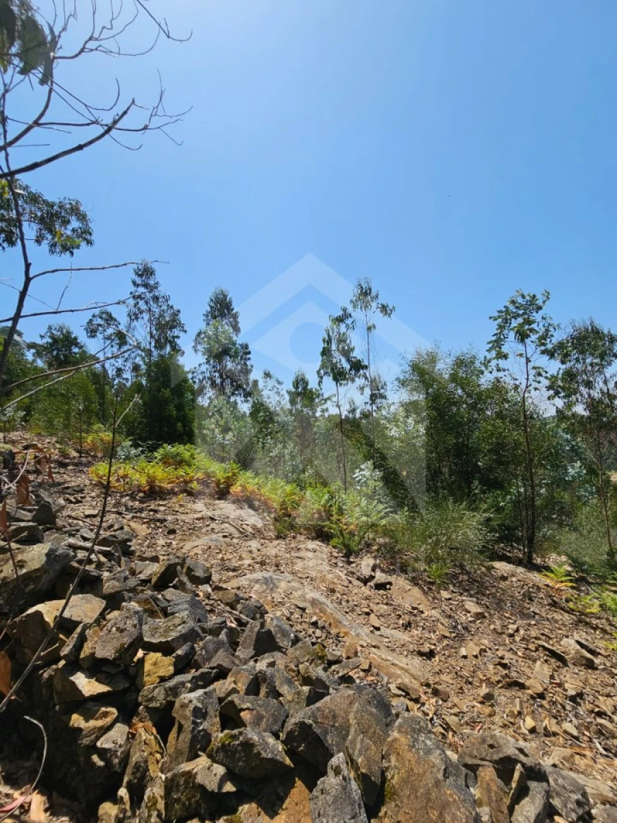Terreno Agricola ou Rústico para Venda em Fornelo e Vairão Foto 21