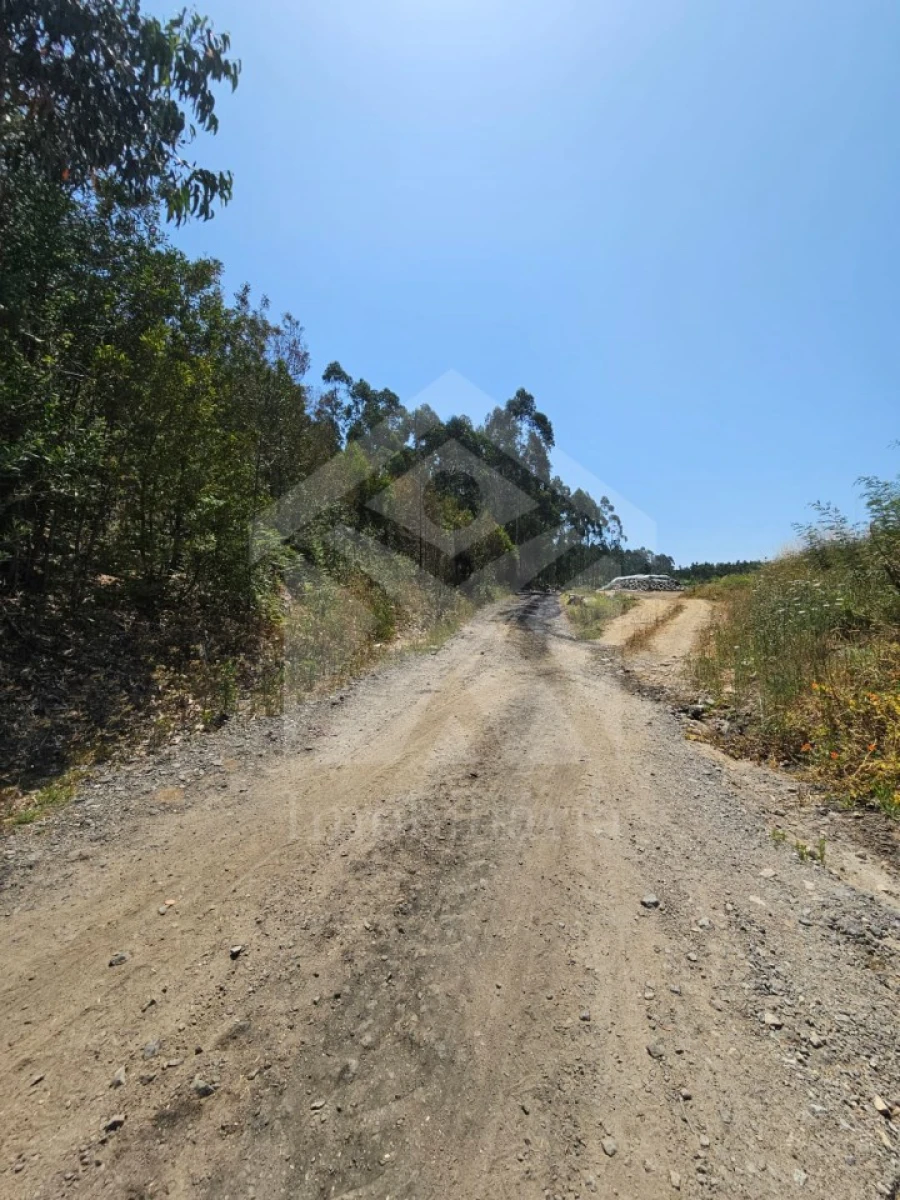 Terreno Agricola ou Rústico para Venda em Fornelo e Vairão Foto 28
