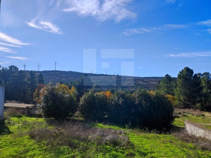 Moradia T4 para Venda em Moimenta da Beira Foto 11