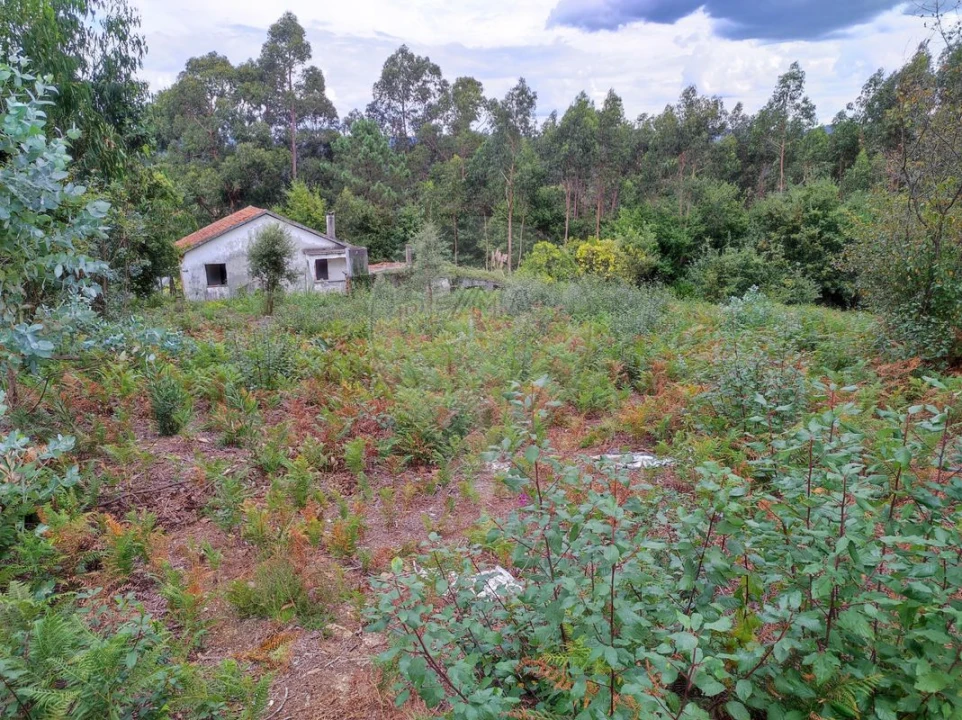 Terreno para Venda em São João da Madeira Foto 19