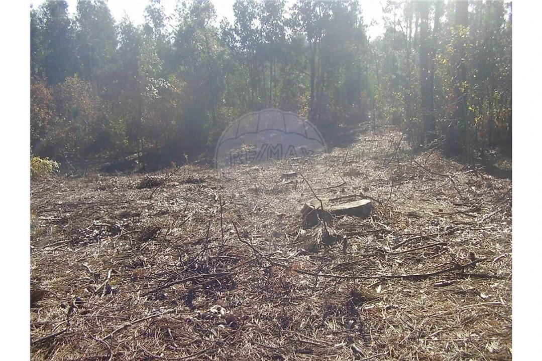 Terreno para Venda em São João da Madeira Foto 10