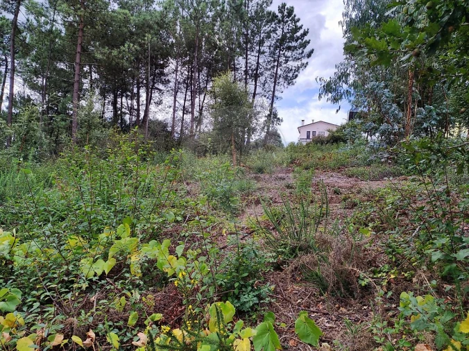 Terreno para Venda em São João da Madeira Foto 18