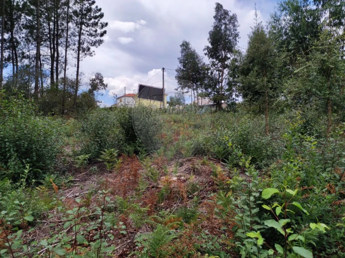 Terreno para Venda em São João da Madeira Foto 17