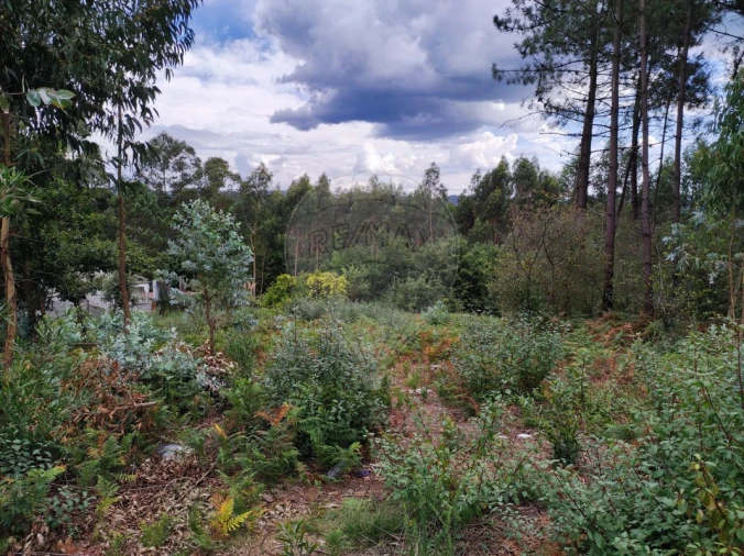 Terreno para Venda em São João da Madeira Foto 16
