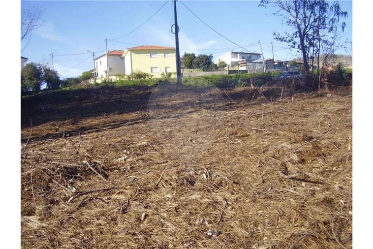 Terreno para Venda em São João da Madeira Foto 4