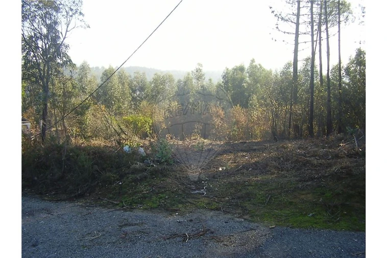 Terreno para Venda em São João da Madeira Foto 6
