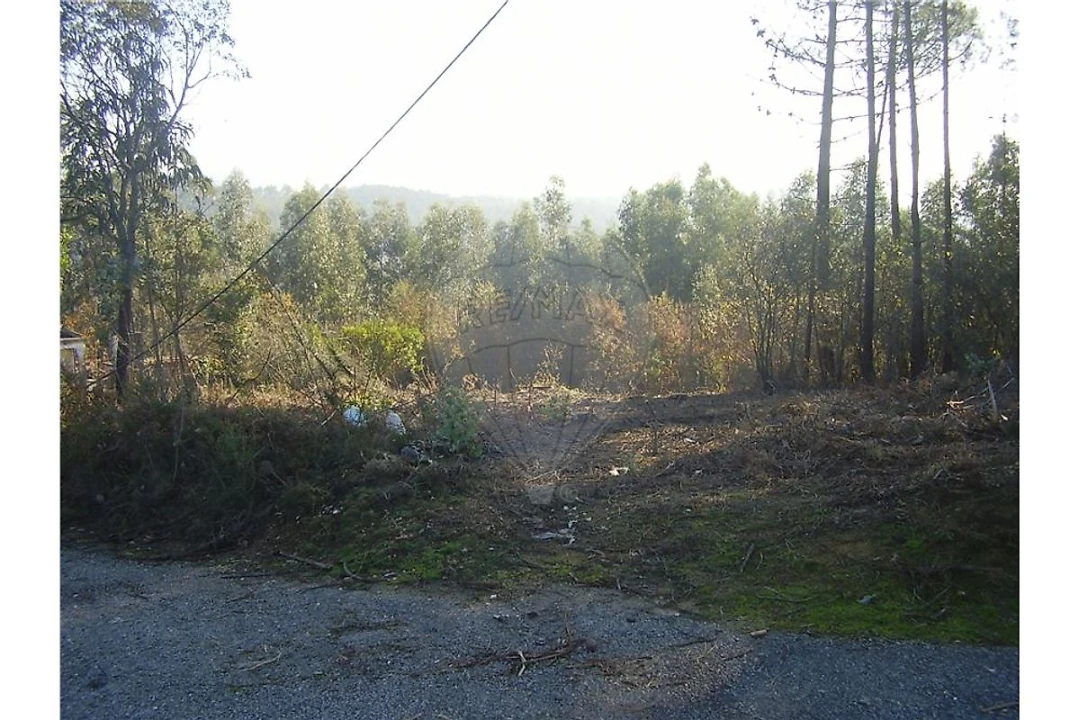 Terreno para Venda em São João da Madeira Foto 6