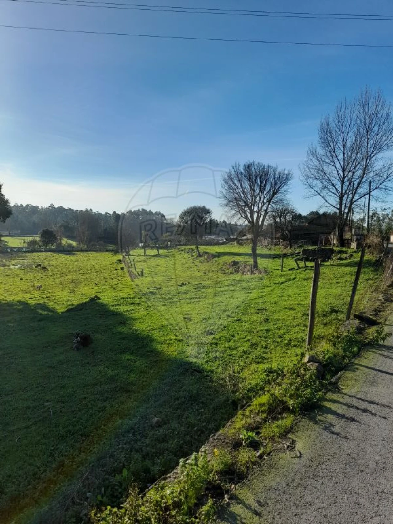 Terreno para Venda em Arrifana Foto 7