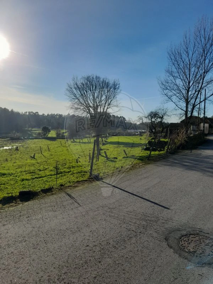 Terreno para Venda em Arrifana Foto 1