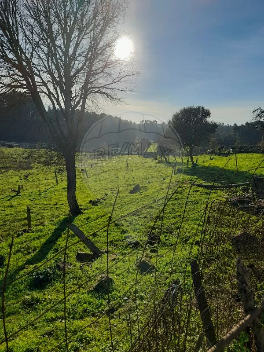 Terreno para Venda em Arrifana Foto 8