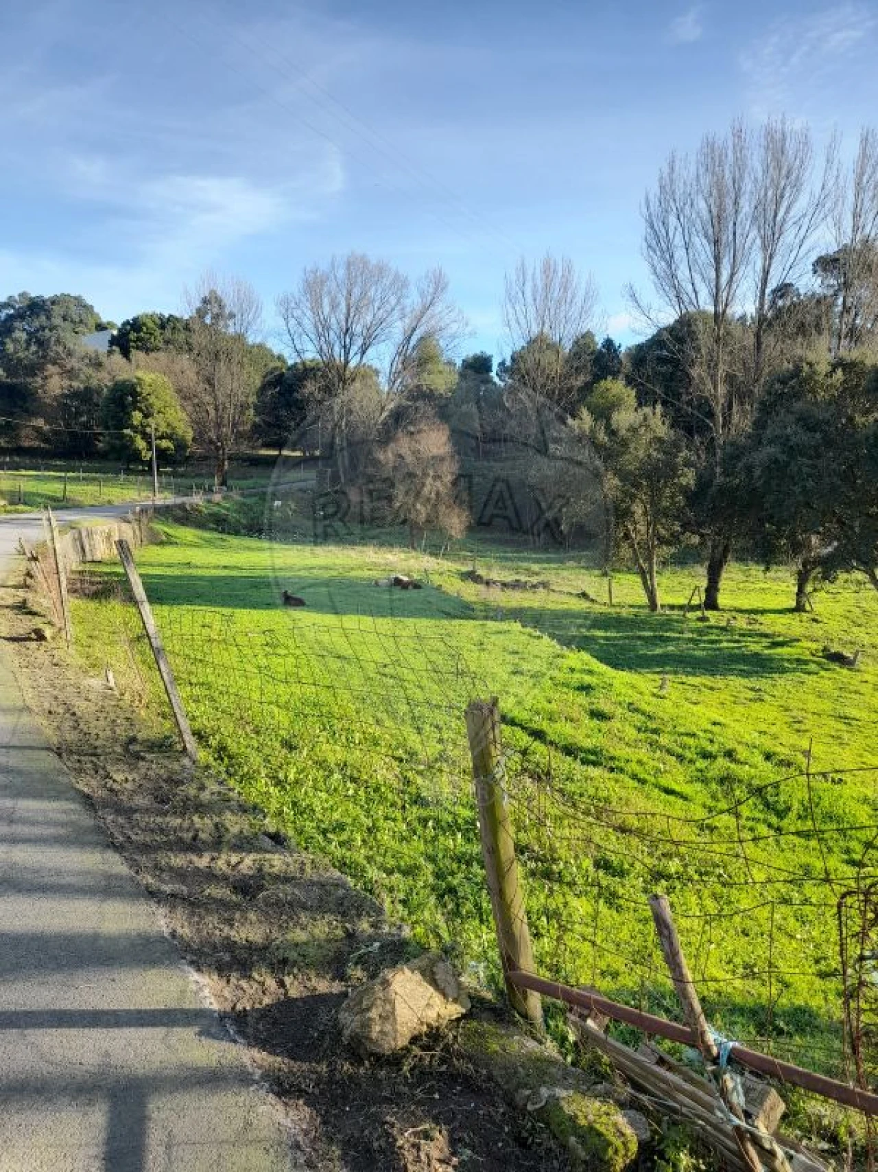 Terreno para Venda em Arrifana Foto 6