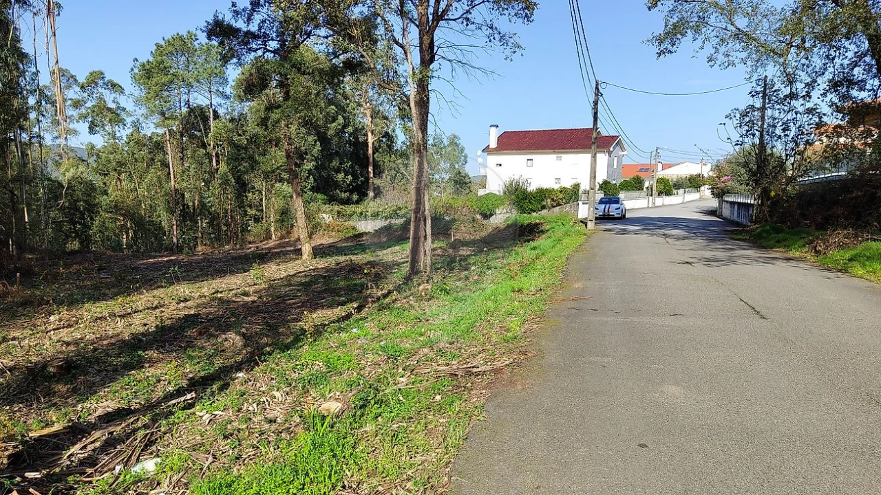 Terreno para Venda em Macieira de Cambra Foto 2