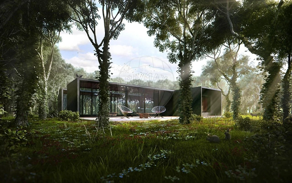 Terreno para Venda em Macieira de Cambra Foto 4