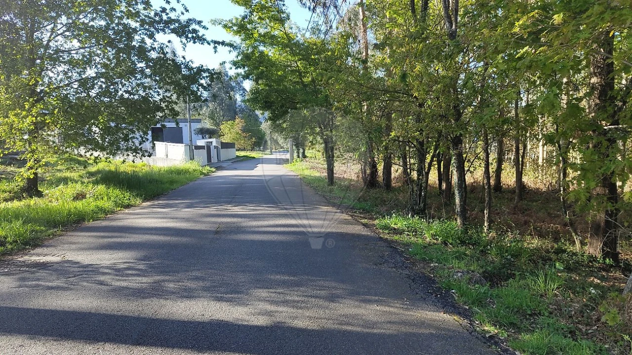 Terreno para Venda em Macieira de Cambra Foto 8