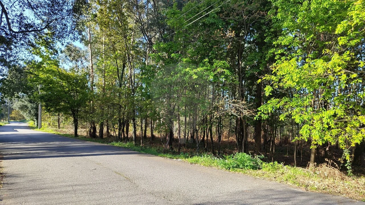 Terreno para Venda em Macieira de Cambra Foto 9