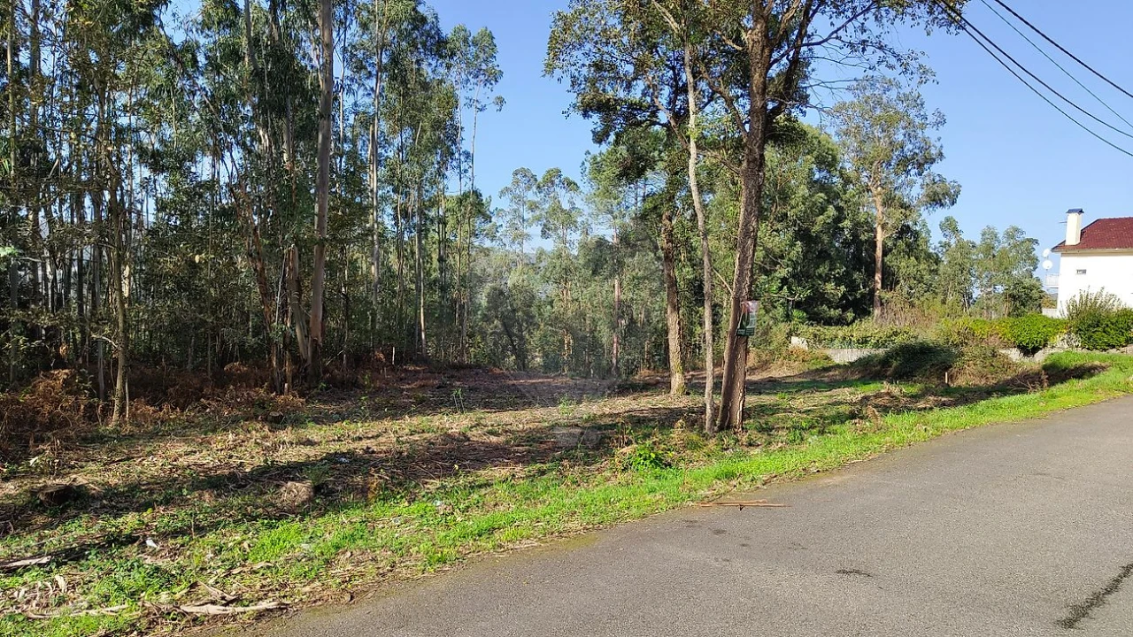 Terreno para Venda em Macieira de Cambra Foto 14
