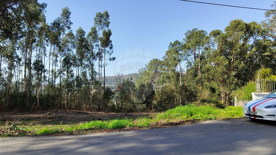 Terreno para Venda em Macieira de Cambra Foto 15