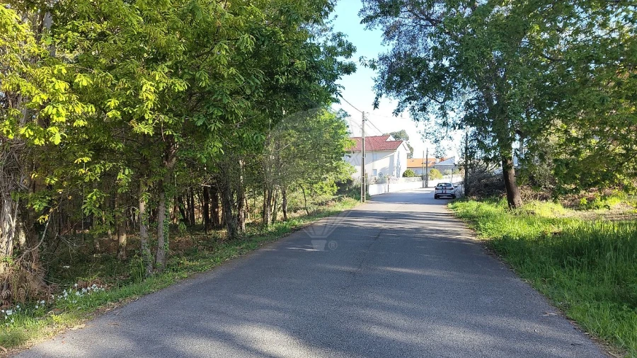 Terreno para Venda em Macieira de Cambra Foto 12