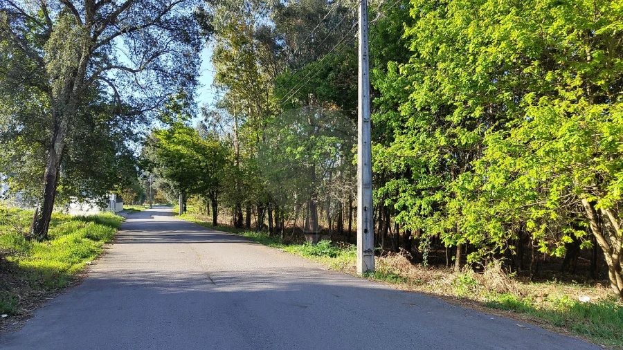 Terreno para Venda em Macieira de Cambra Foto 7