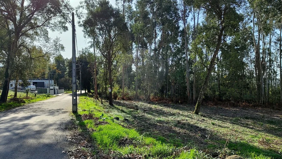 Terreno para Venda em Macieira de Cambra Foto 1