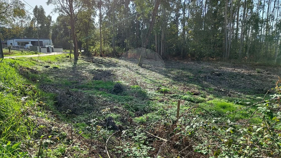 Terreno para Venda em Macieira de Cambra Foto 6
