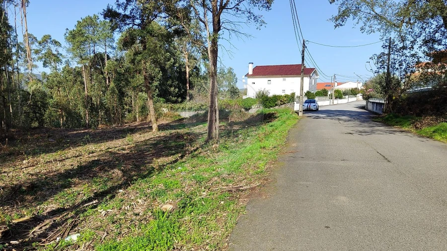 Terreno para Venda em Macieira de Cambra