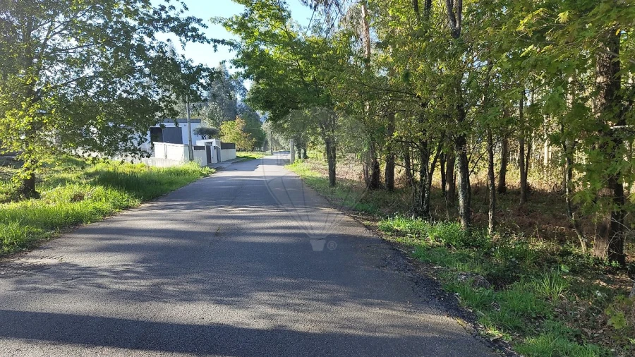 Terreno para Venda em Macieira de Cambra