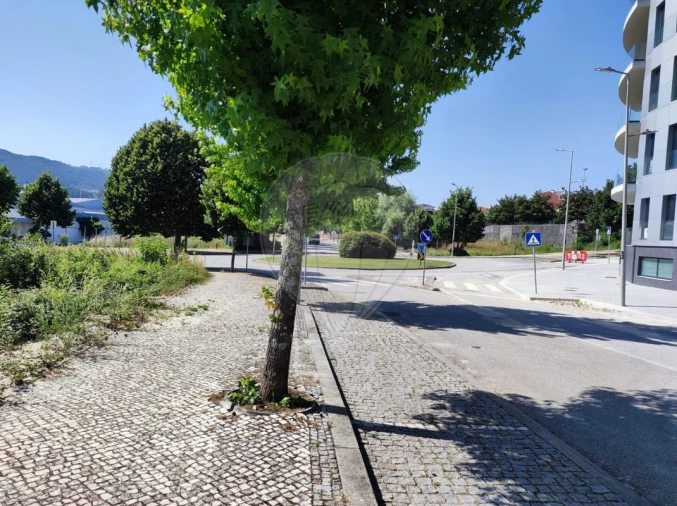 Terreno para Venda em São Pedro de Castelões Foto 5