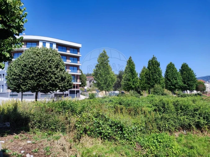 Terreno para Venda em São Pedro de Castelões Foto 7
