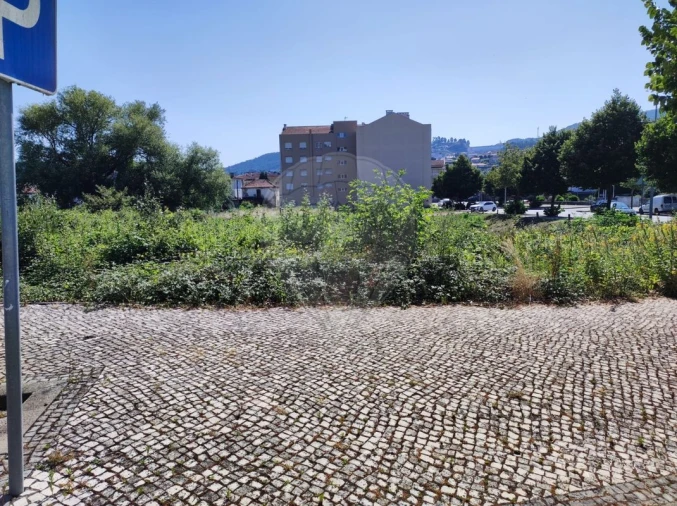 Terreno para Venda em São Pedro de Castelões Foto 6