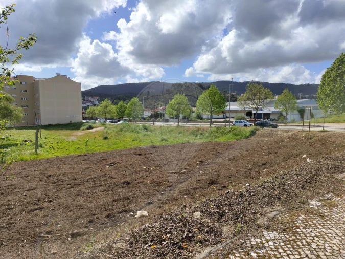 Terreno para Venda em São Pedro de Castelões Foto 3